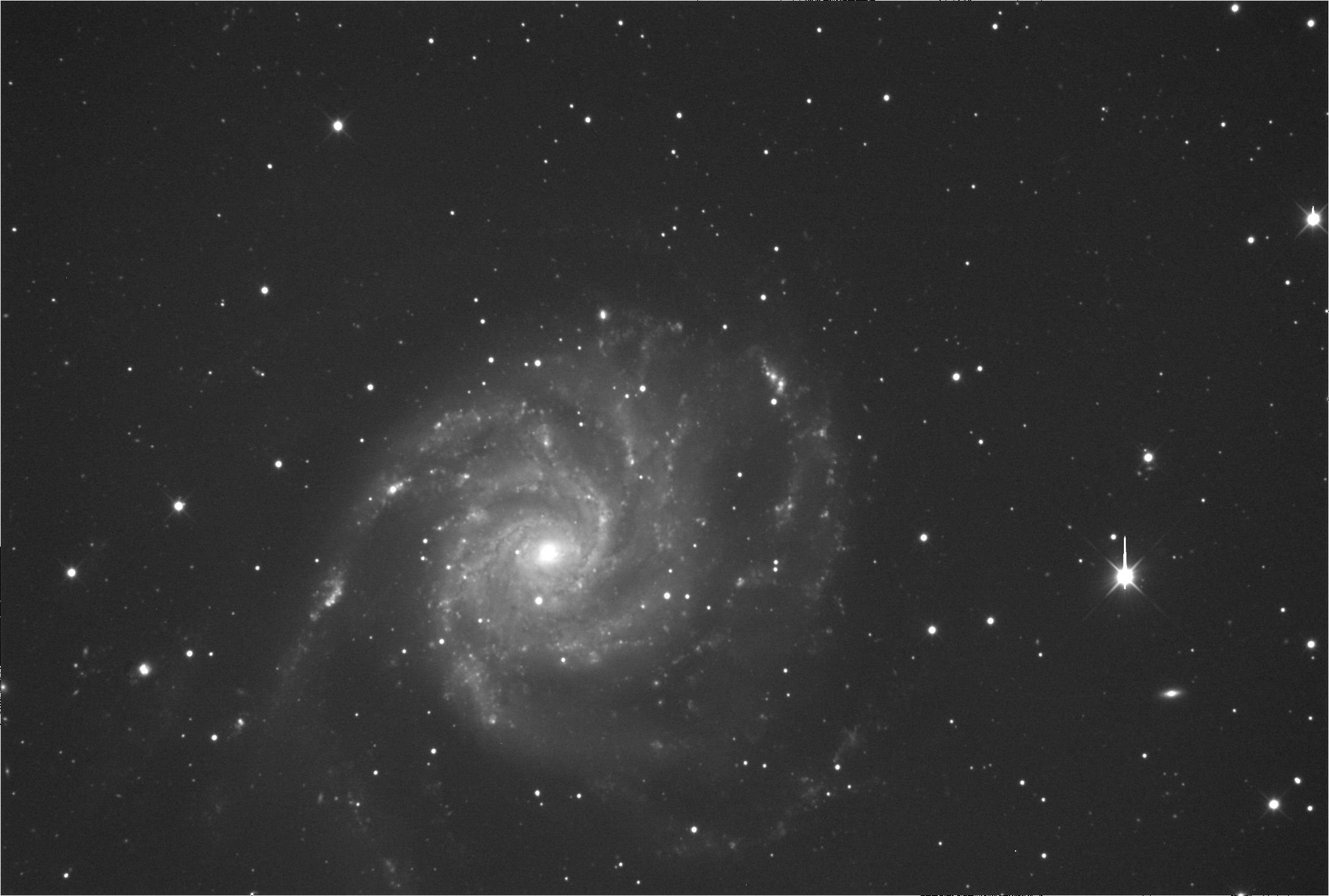 M101 im Sternbild Grosser Wagen (Ursa Major) M 101