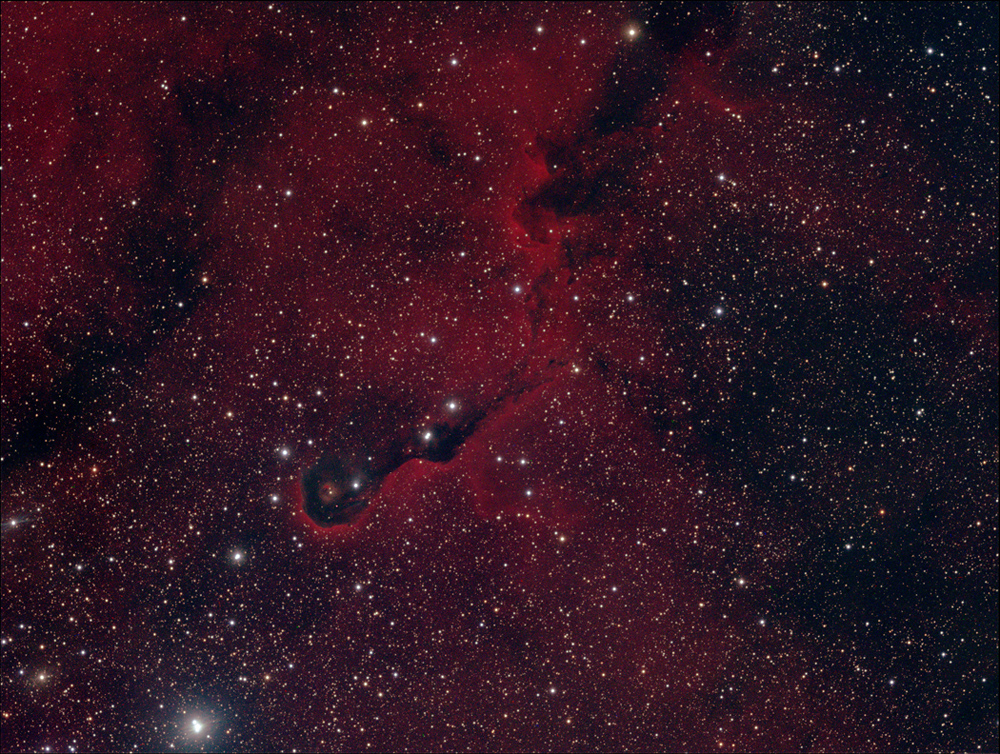 IC1396–Ausschnitt mit Elephantenrüssel IC 1396
