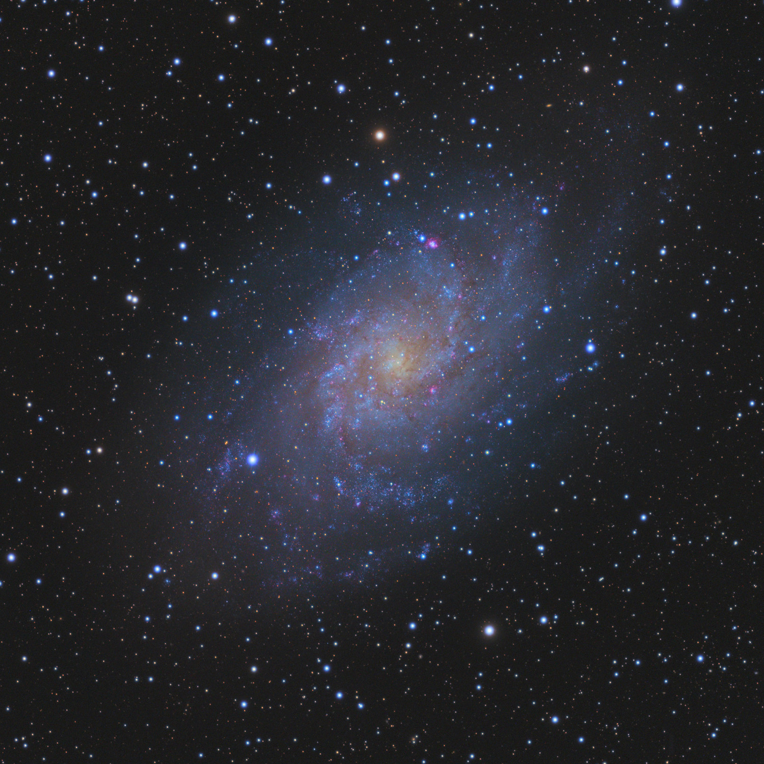 M33 - Dreiecksgalaxie M 33