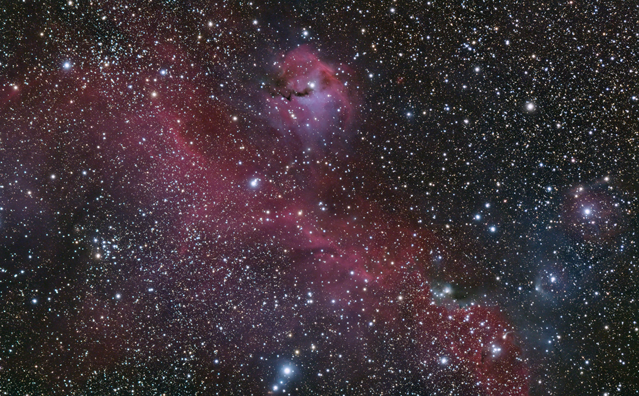 Seagull -Nebula IC2177 & SH2-292 IC 2177, Sh2 292, NGC 2327