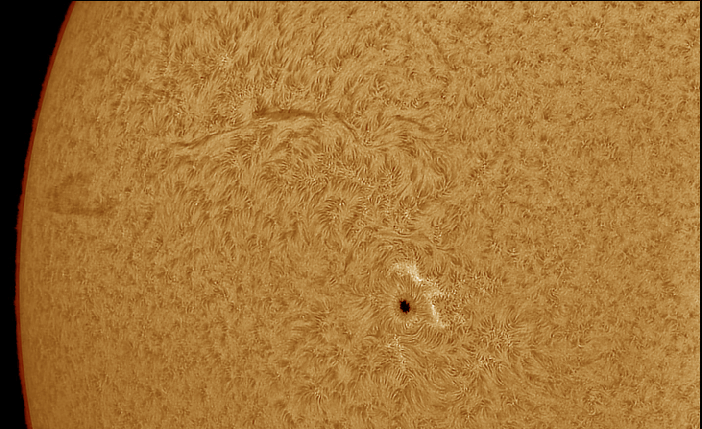 Sonne am 17.6.2021 H-Alpha, AR 2833 