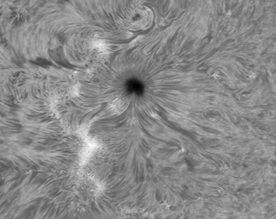 AR2882 in Ha am 10.10.2021 