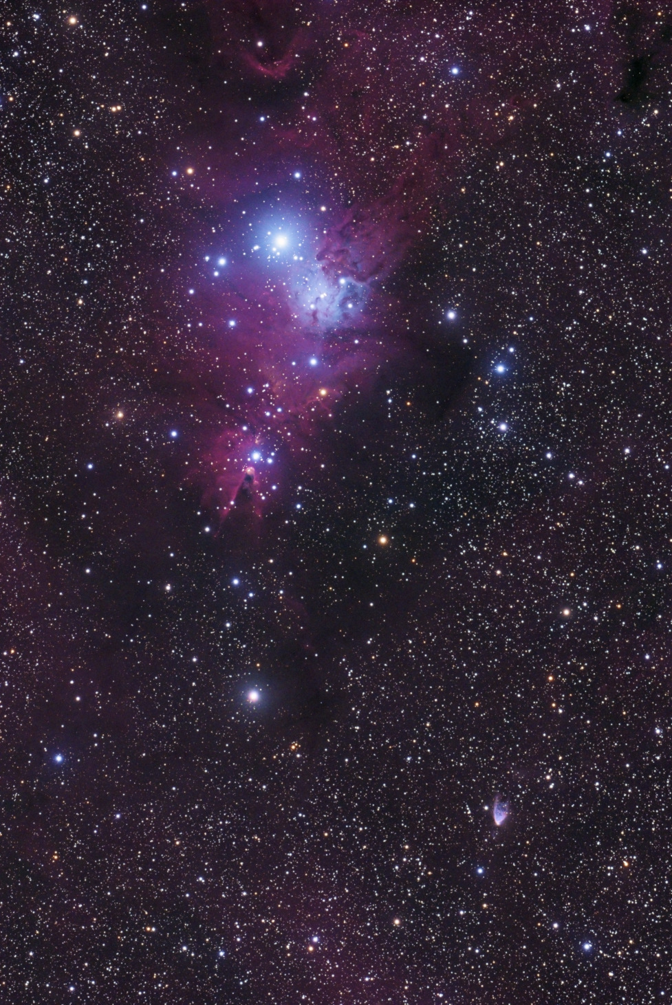 Konusnebel und Hubble NGC 2264, NGC 2261