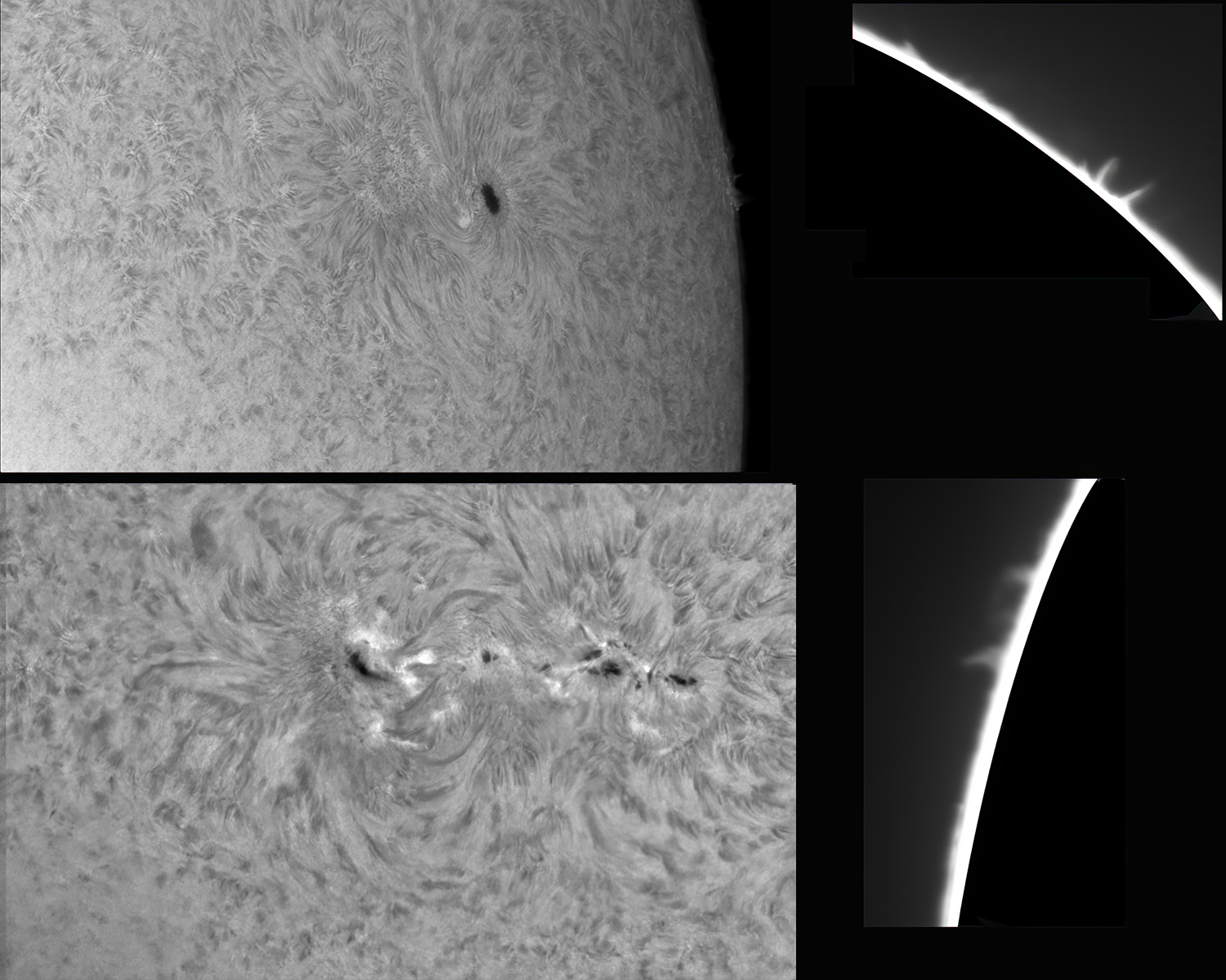 AR 2965 und AR 2960 mit H-Alpha-Filter am 13.03.2022 