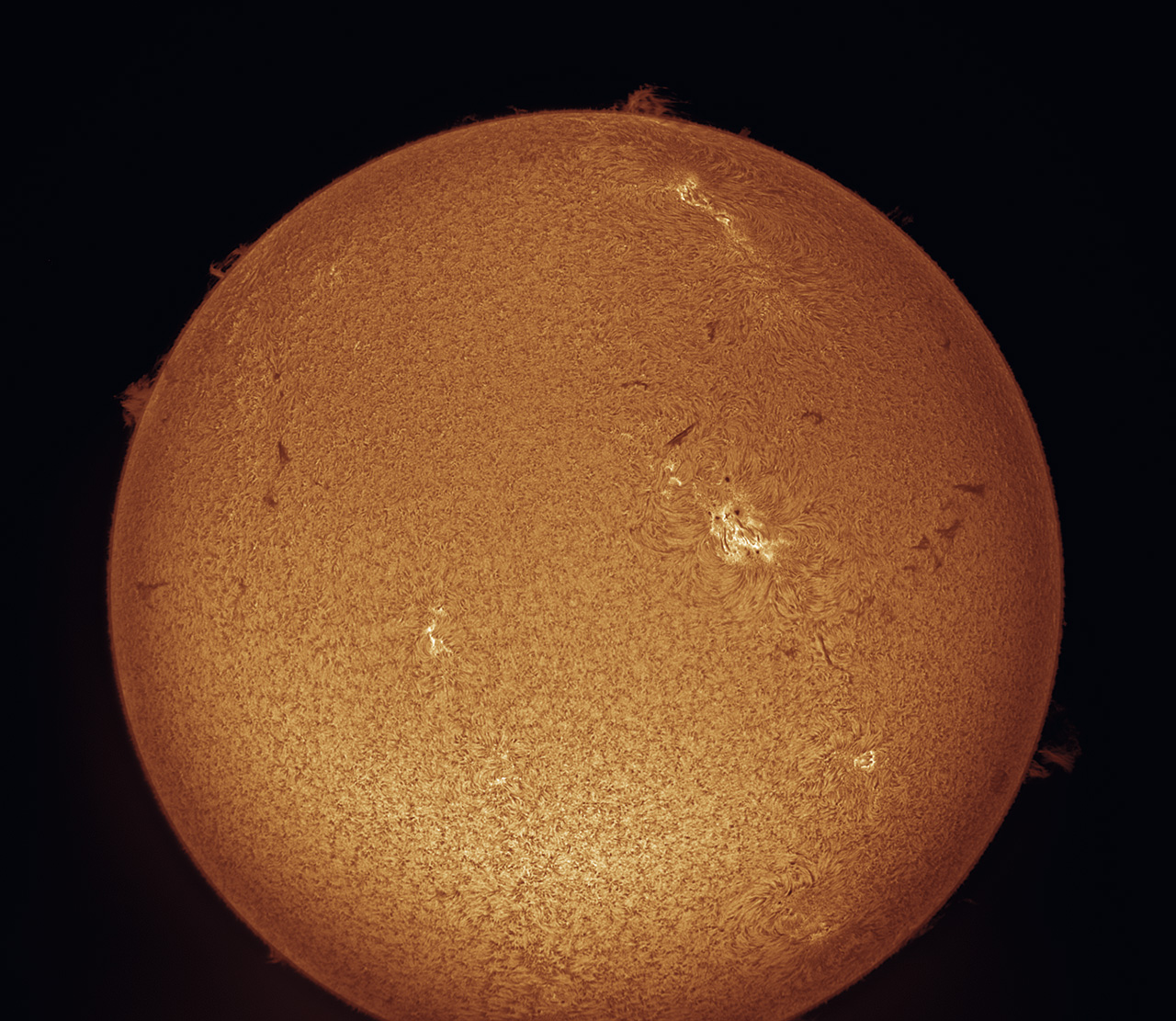 Sonne  Halpha 14.5.2022  