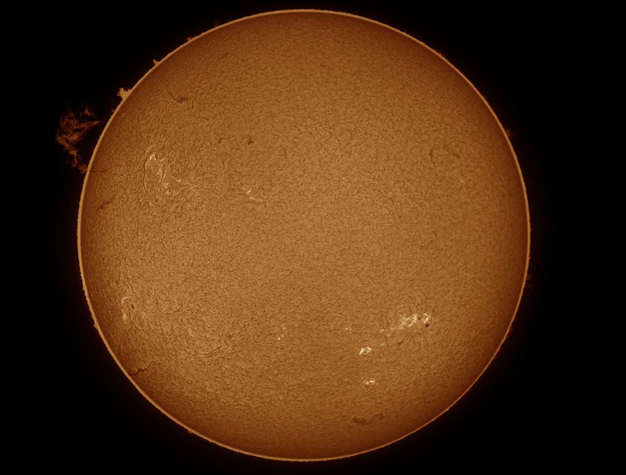 Gesamt-Sonne mit Riesenprotuberanz am 4.8.2022 