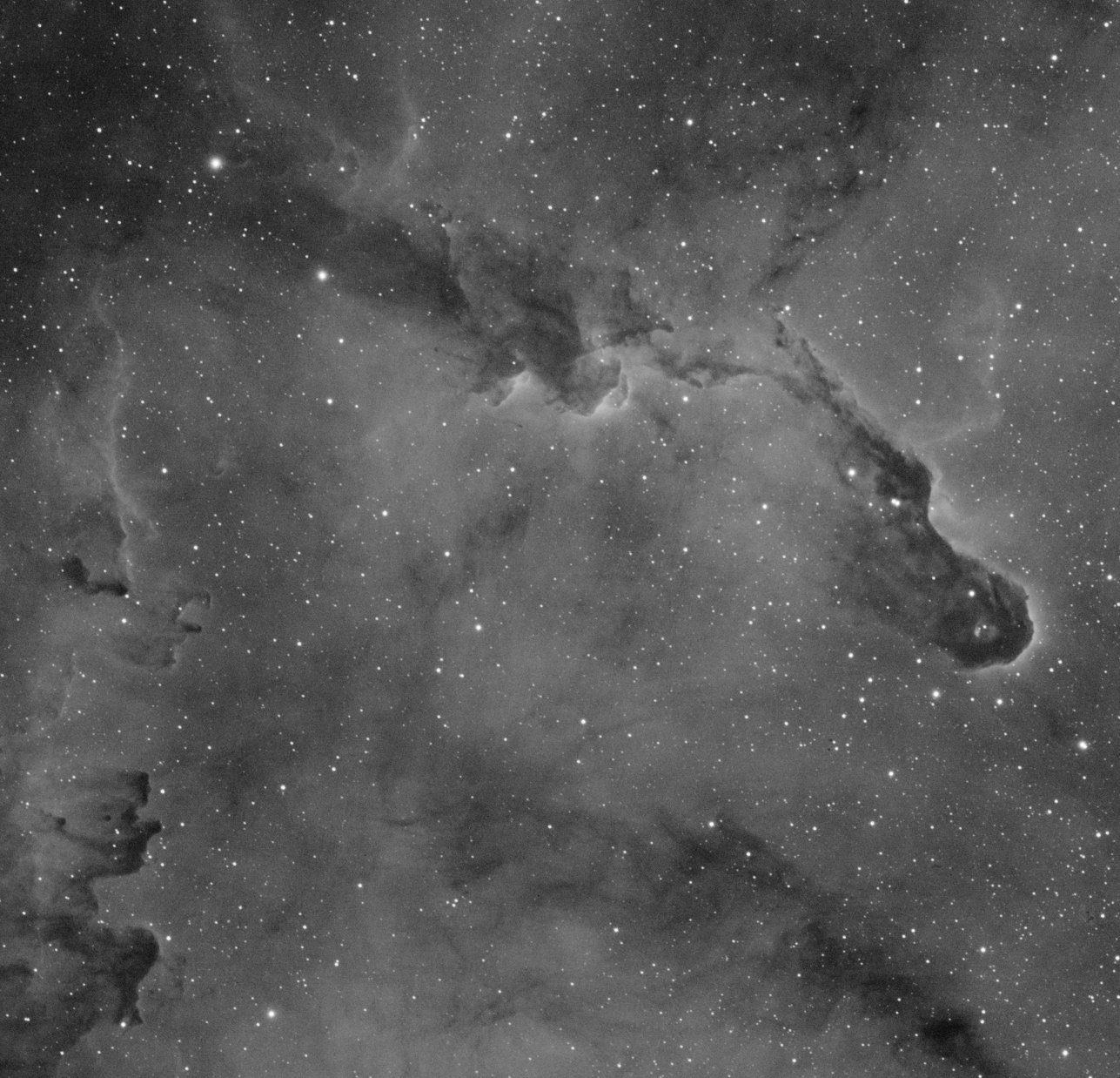 VdB 142 in IC 1396 IC 1396