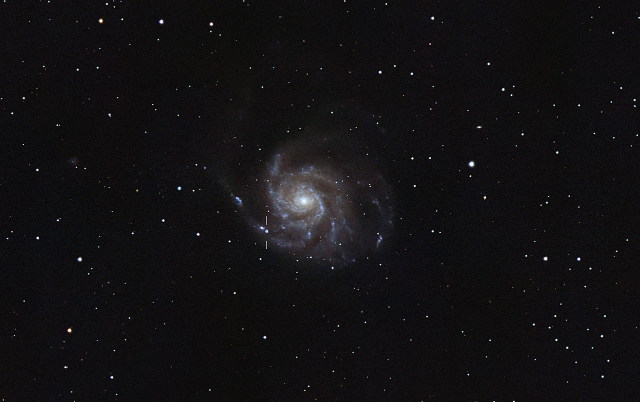 M101 mit Supenova SN 2023ixf  