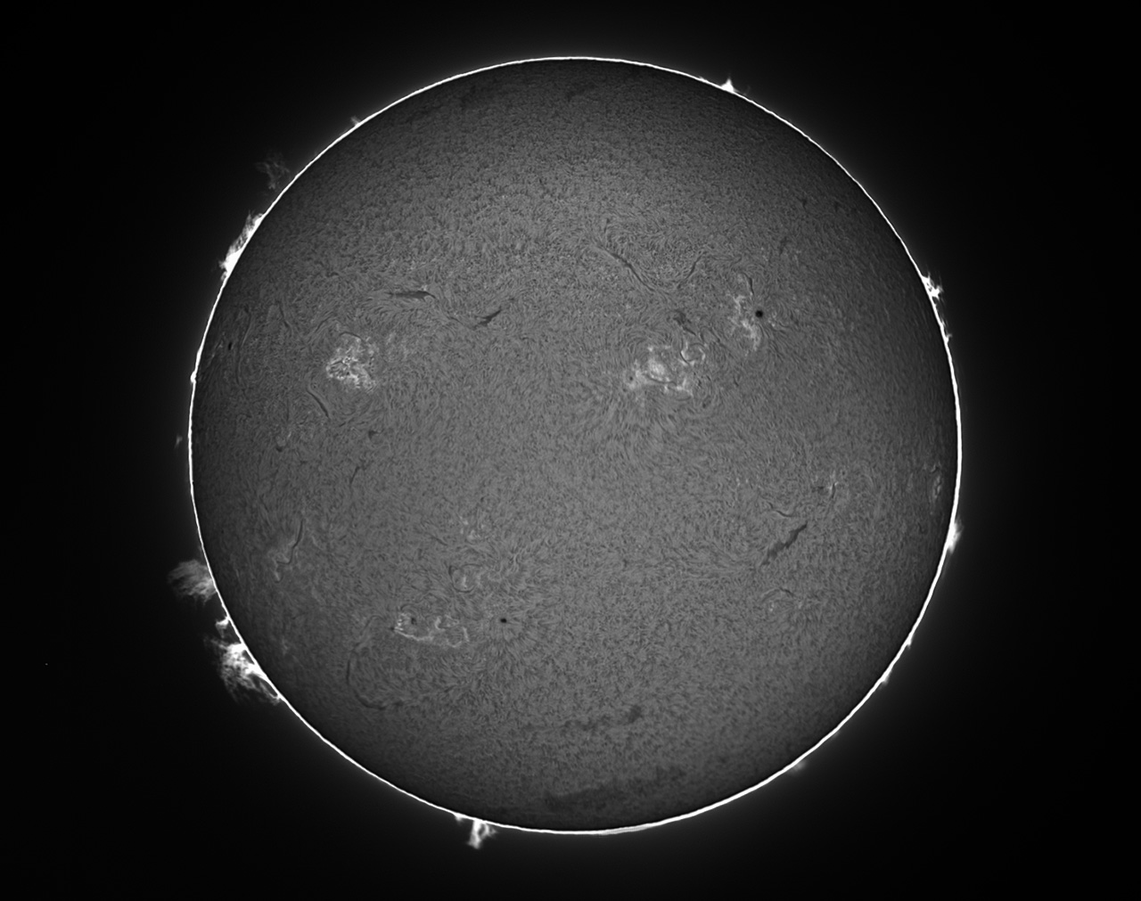 Gesamt-Sonne 4.6.2023 