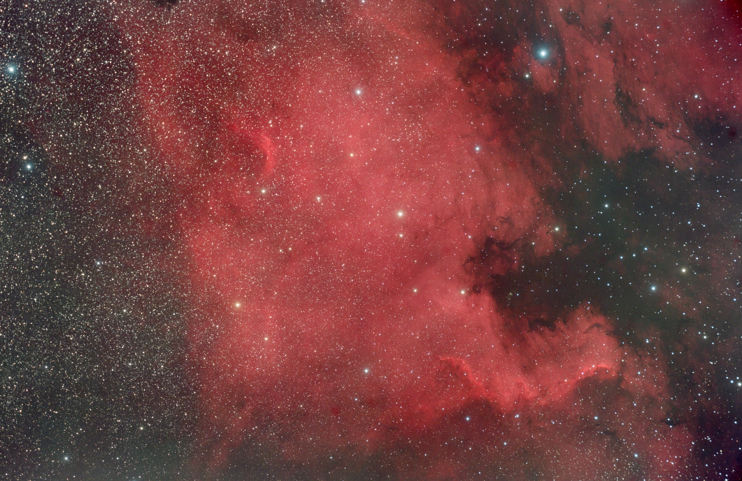 NGC7000 bei Stadthimmel NGC 7000
