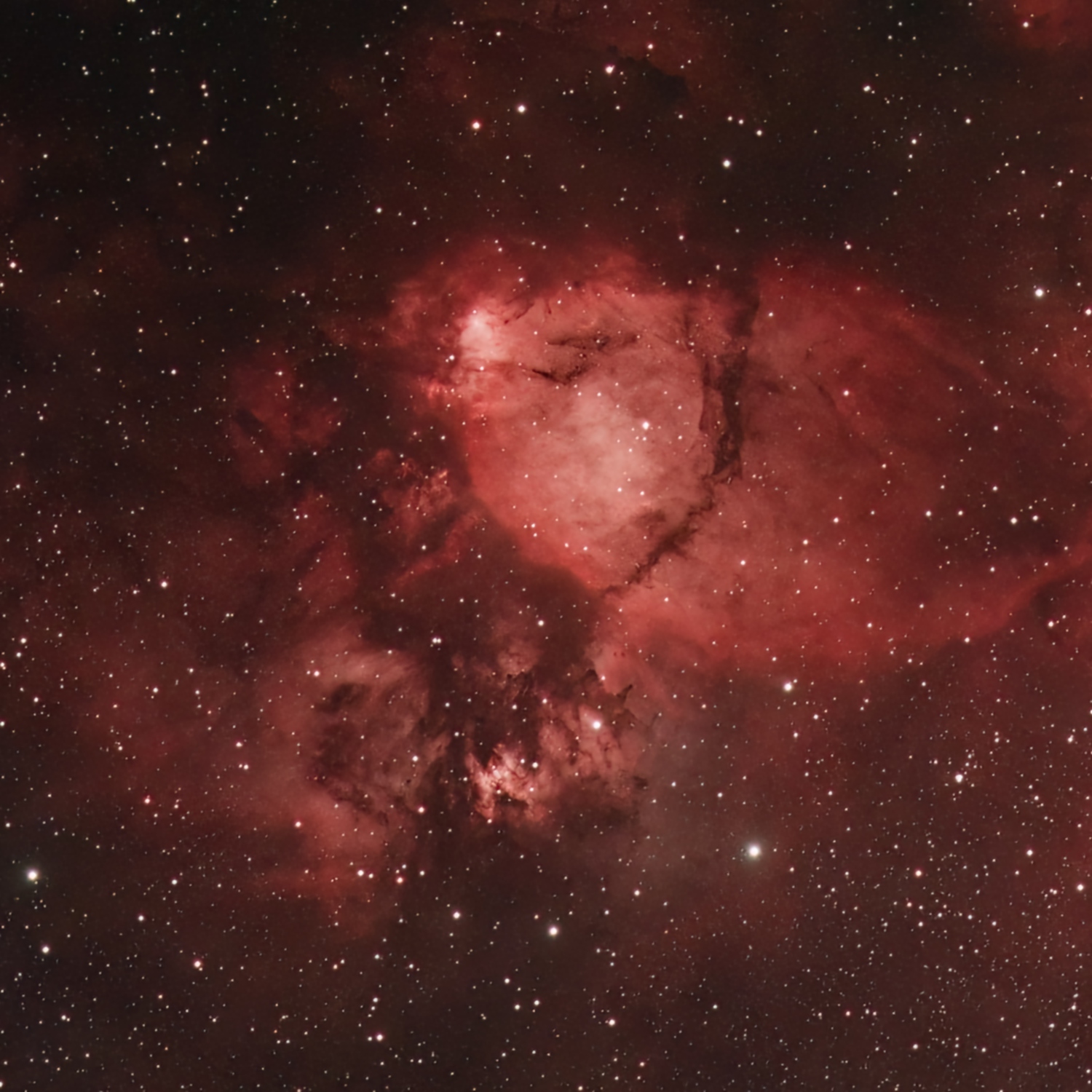  "Fischkopf“ vom Herznebel IC 1805
