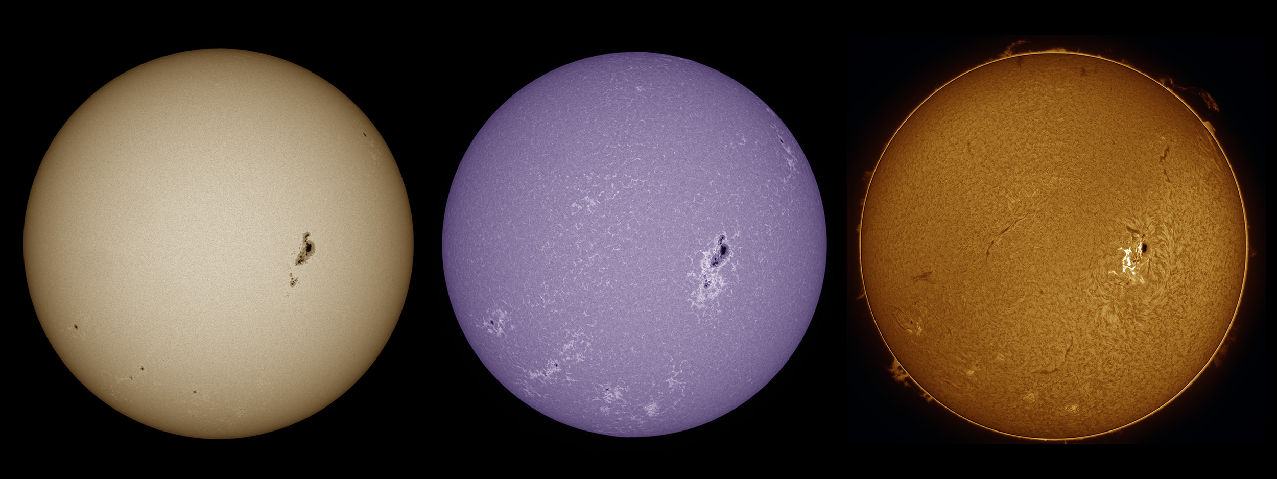 Sonne-Übersicht - WL - Kalzium K - Halpha am 25.2.2024 