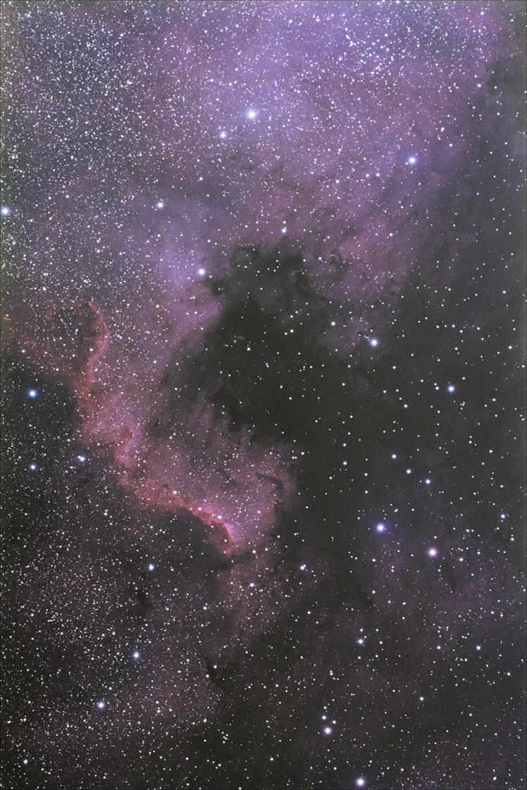 Nordamerikanebel NGC 7000