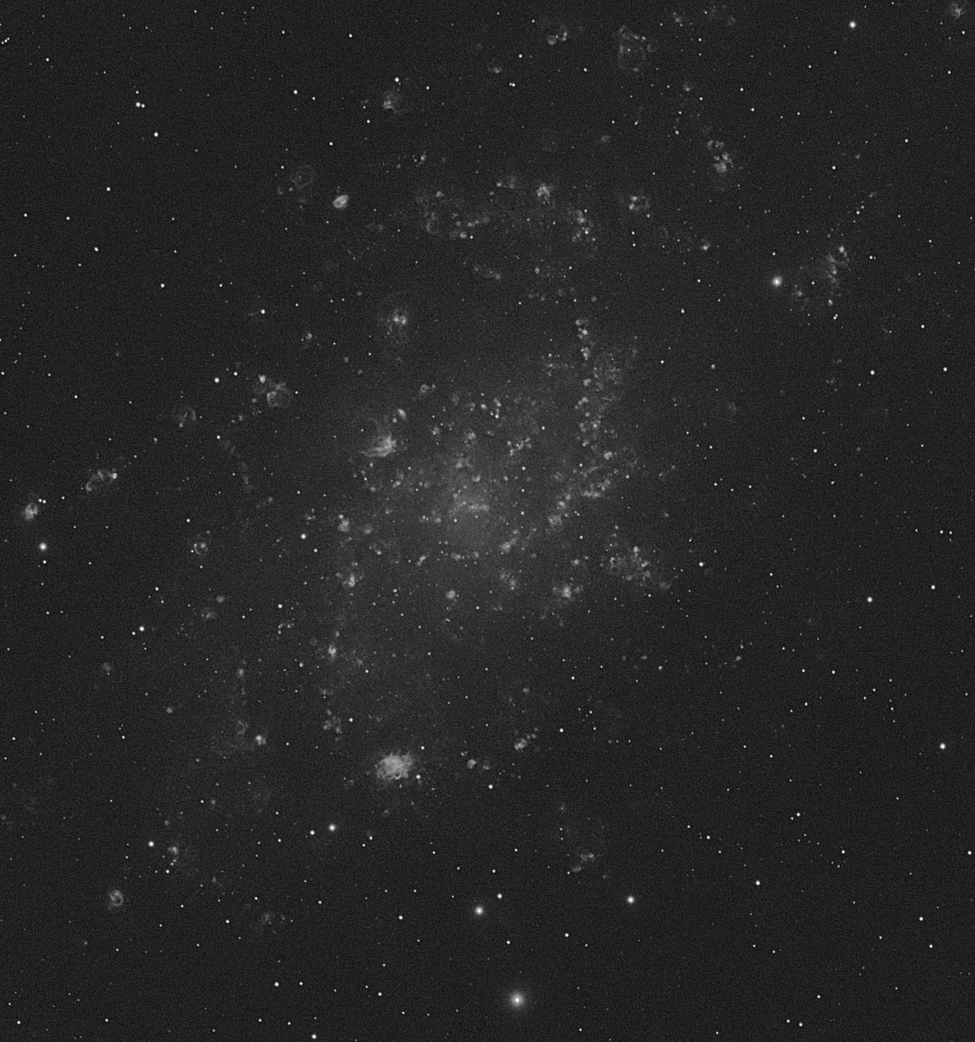 M33 in H-alpha M 33
