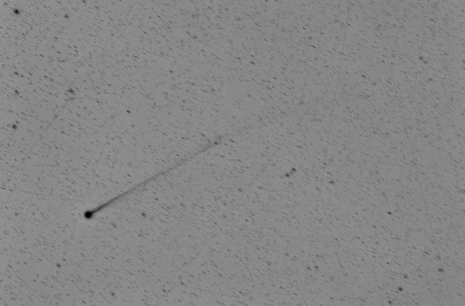 Comet C/2025 F2 Swan (Swan25F) 8.4.2025 