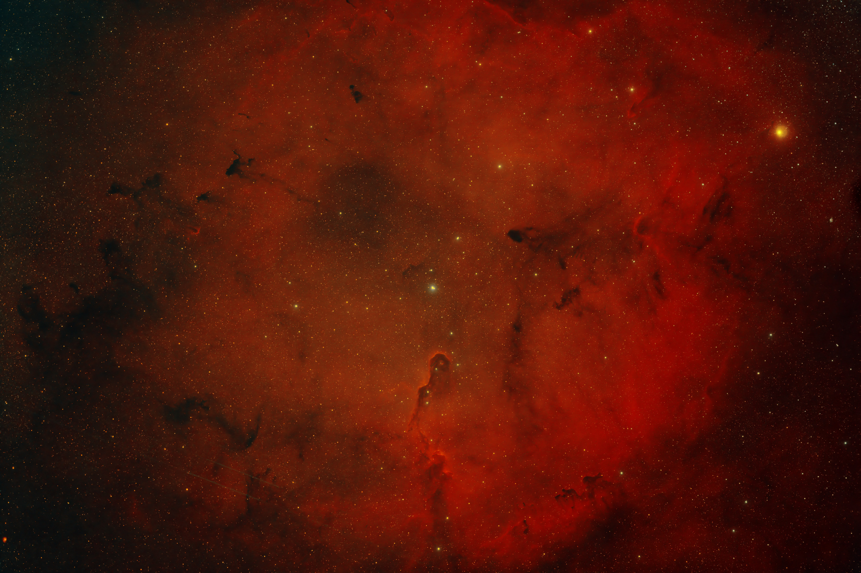 IC1396 ( Foraxx-Version von H +OIII) IC 1396