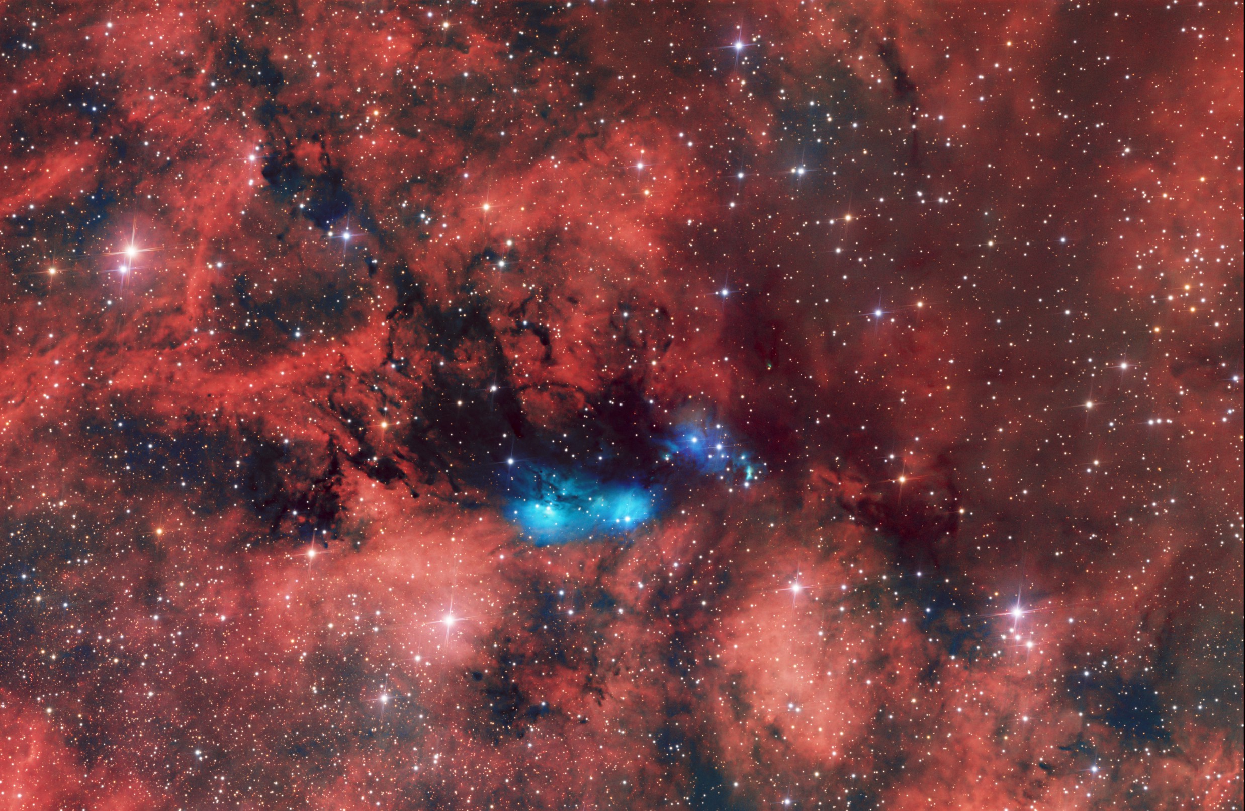 NGC 6914 NGC 6914