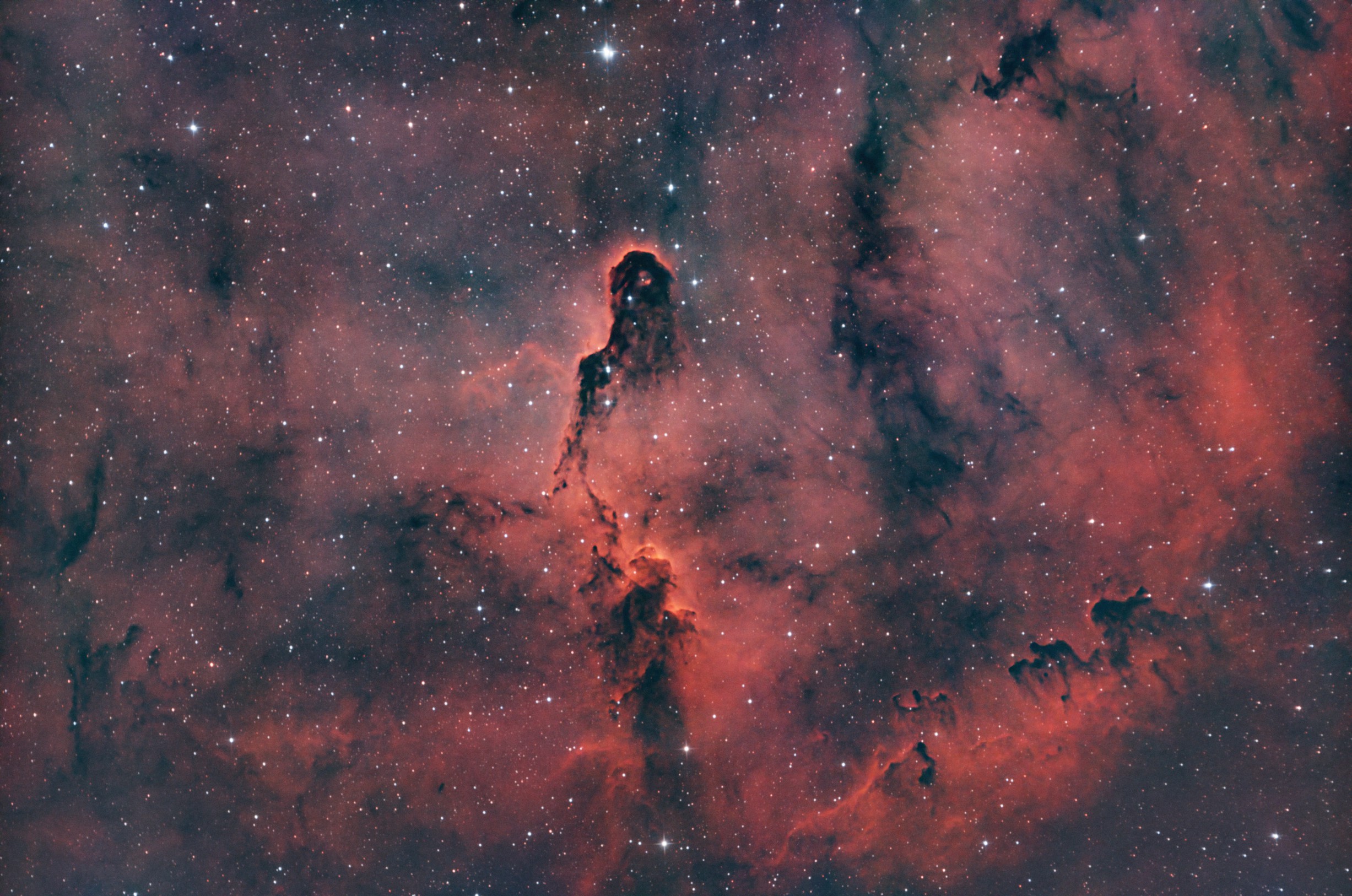 Der Elefantenrüssel - IC 1396A IC 1396, IC 1396A