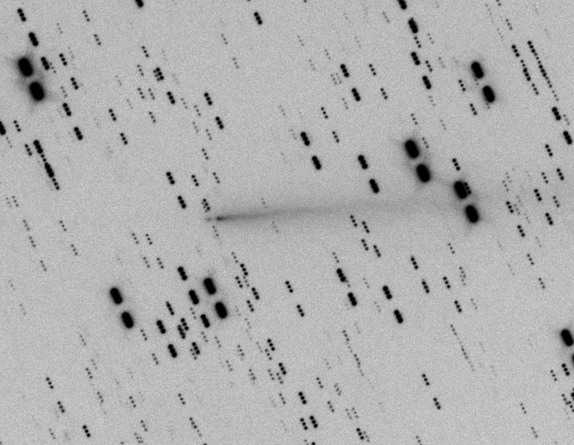 C/2025 K1 + C/2025 K1 -C  25.12.2025  