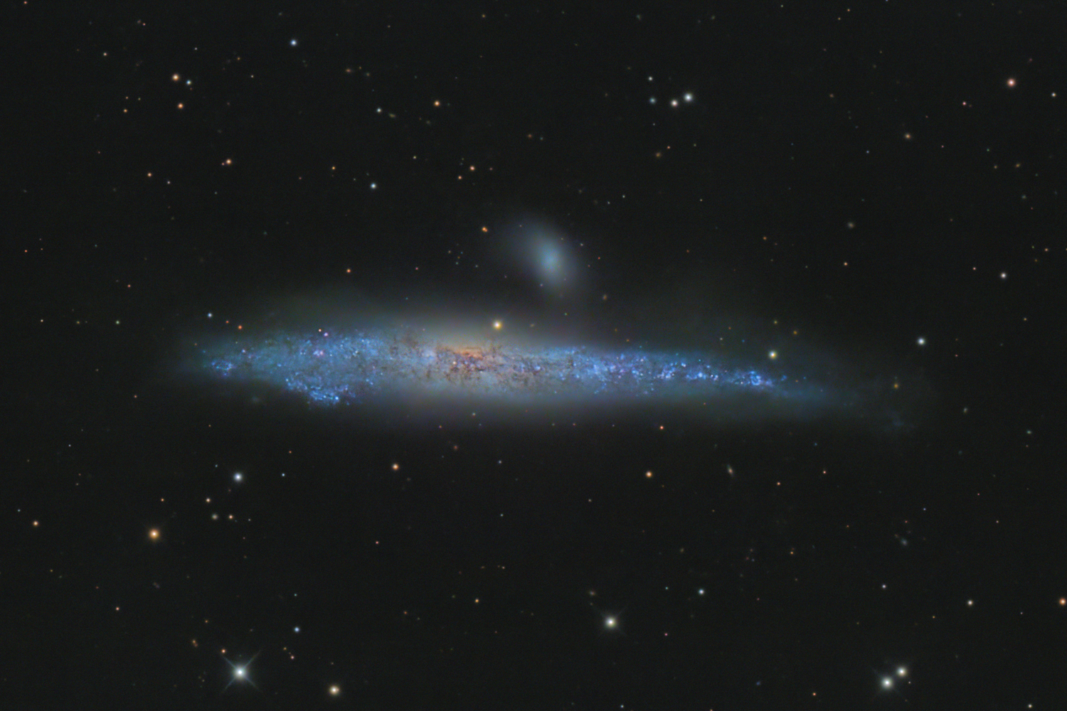 NGC 4631 - Walgalaxie NGC 4631