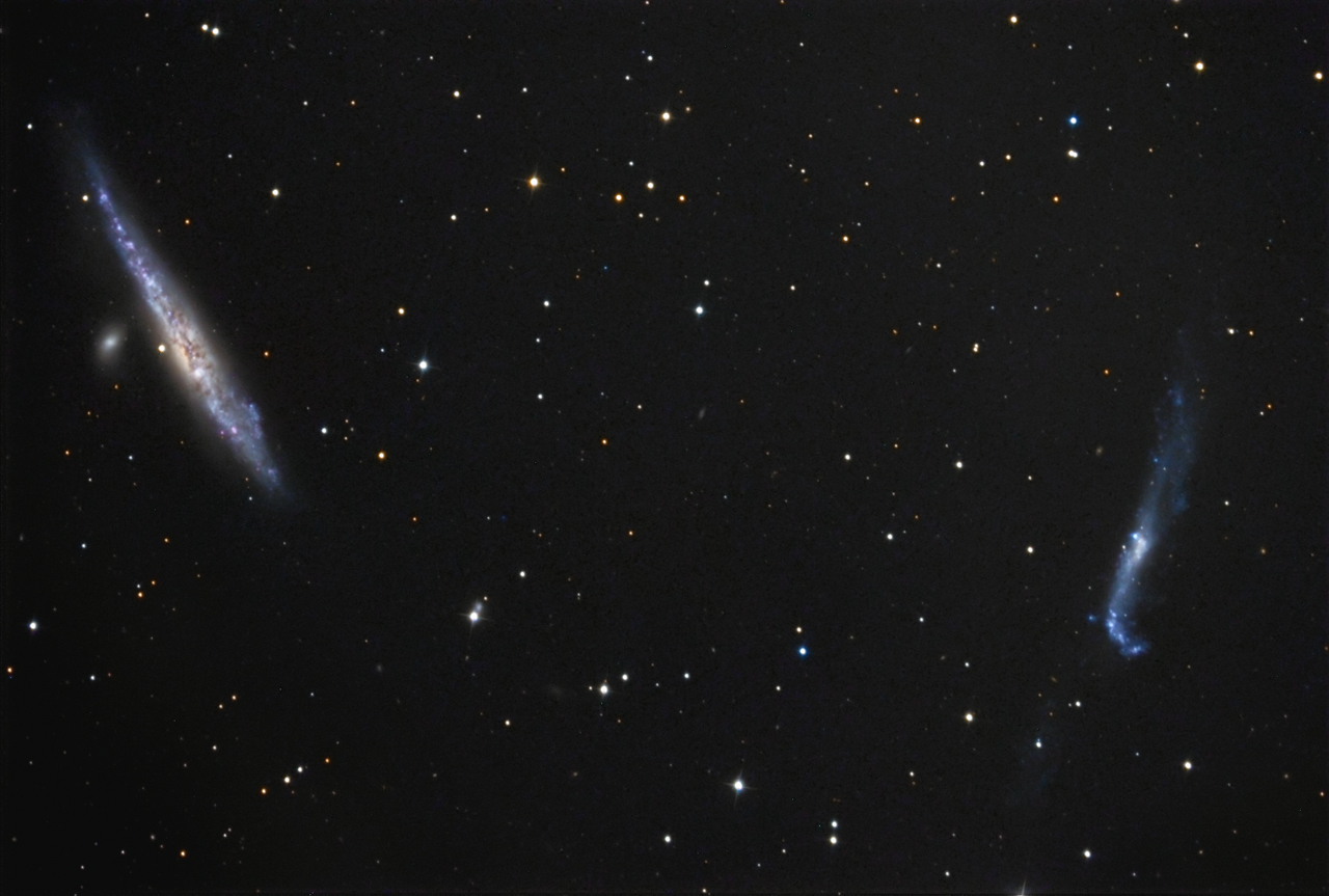 NGC4631 + NGC4656 NGC 4631, NGC 4656