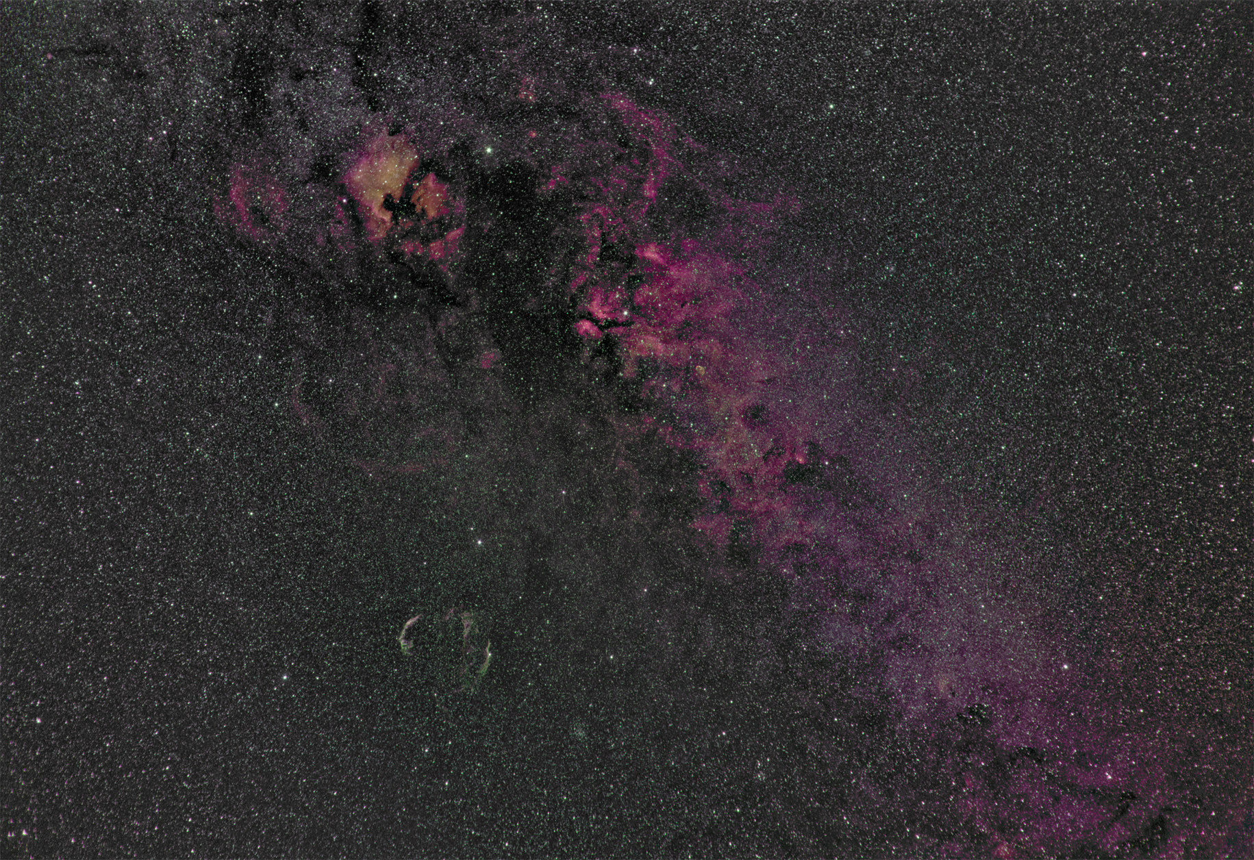 Schwan NGC 7000