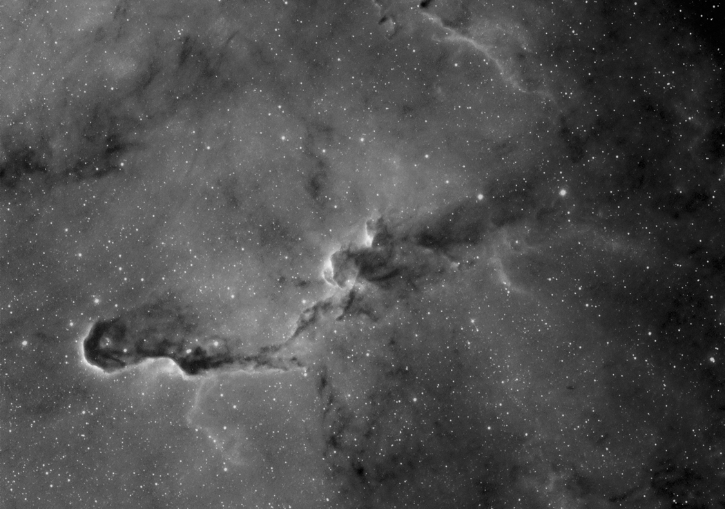 Elephantenrüssel IC 1396