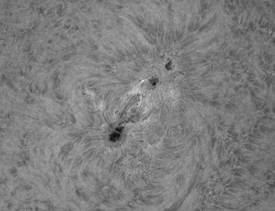 AR 11484 19.5.2012 