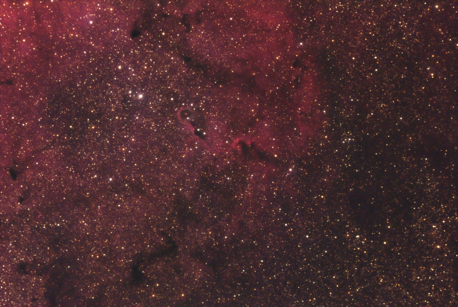 IC 1396 mit "Elefantenrüssel" IC 1396