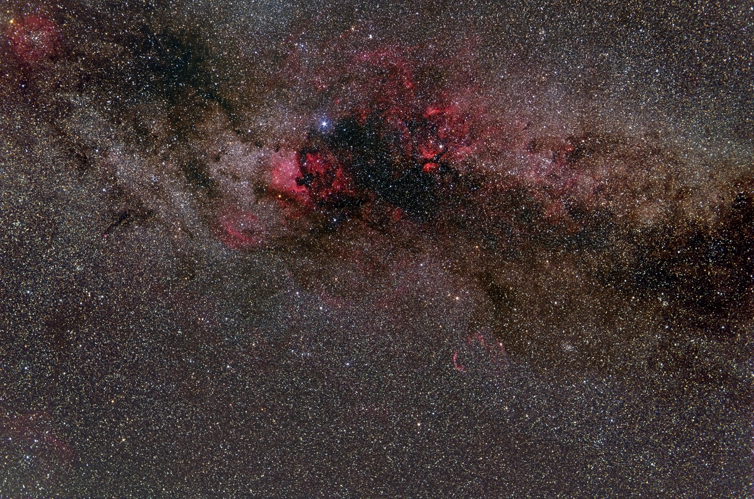 Schwan NGC 7000