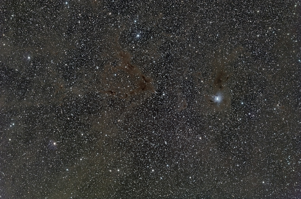 NGC 7023 mit umgebenden Dunkelnebeln NGC 7023