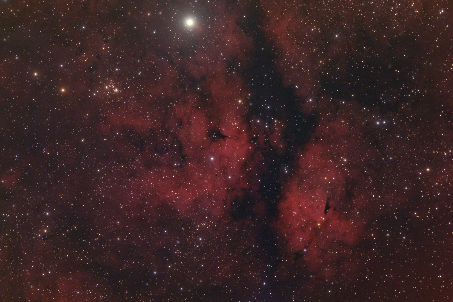 IC1318 - Schmetterlingsnebel IC 1318