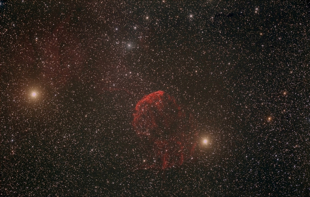 Jellyfish IC 443