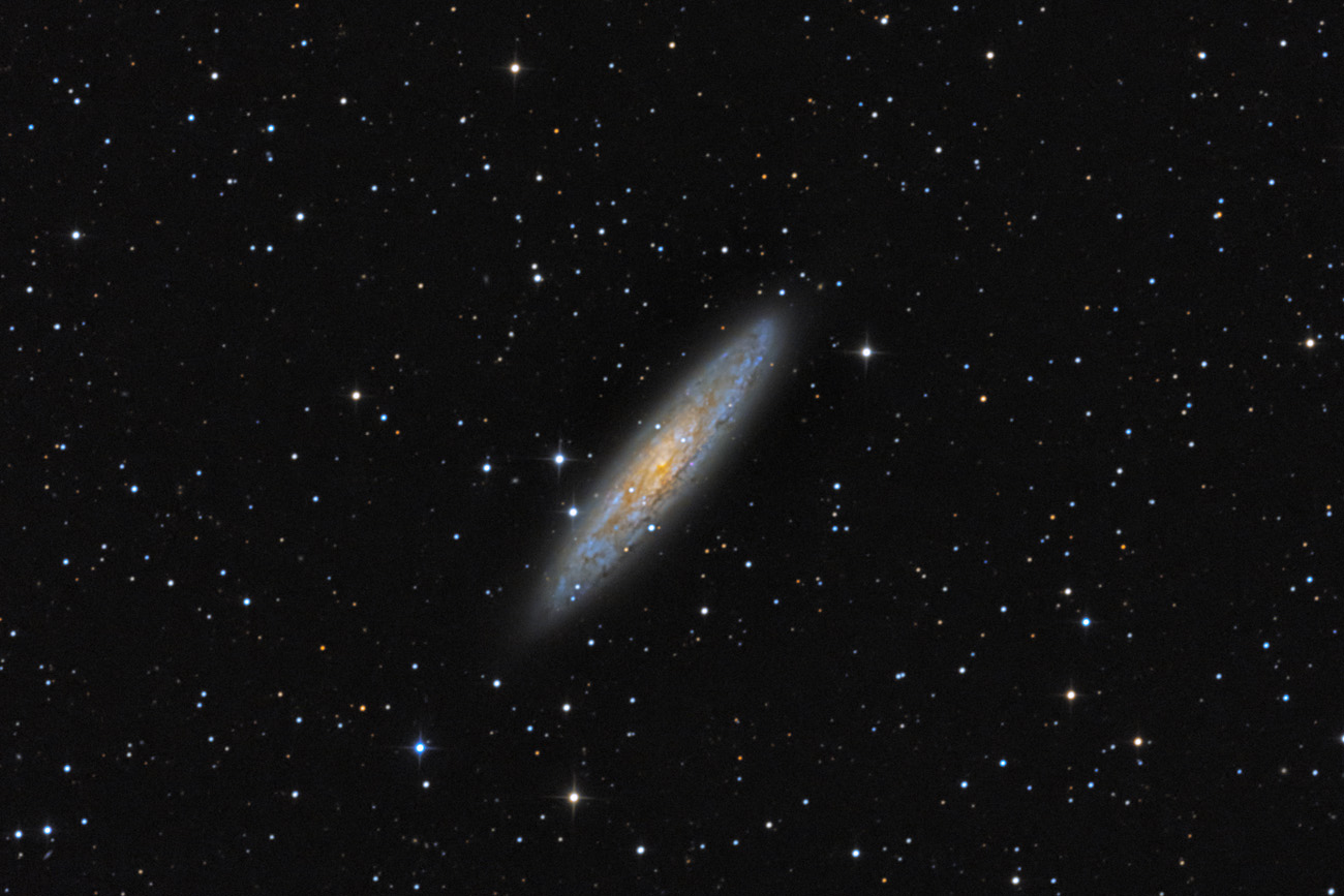 Sculptor Galaxie - NGC 253 