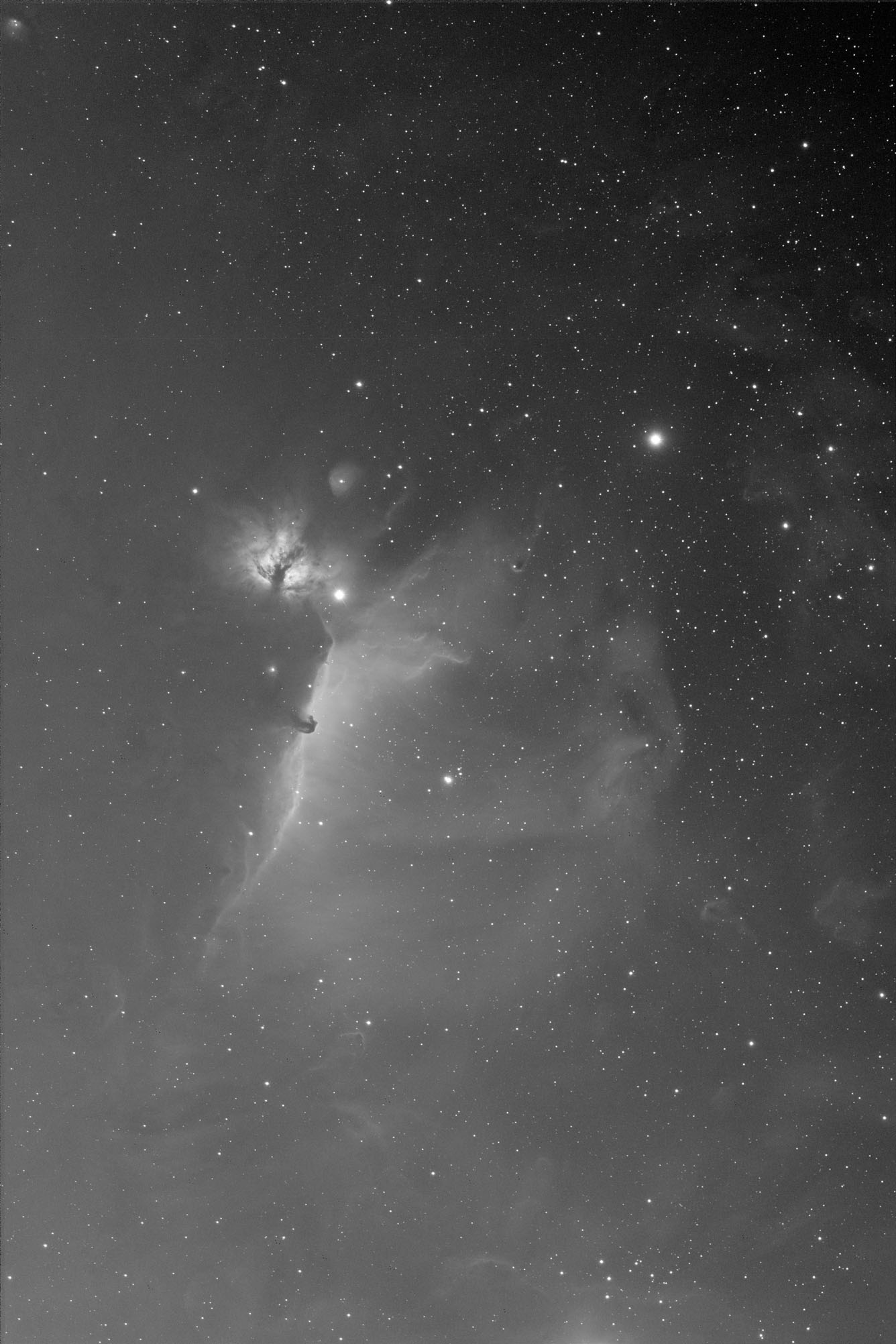 Pferdekopfnebel IC 443