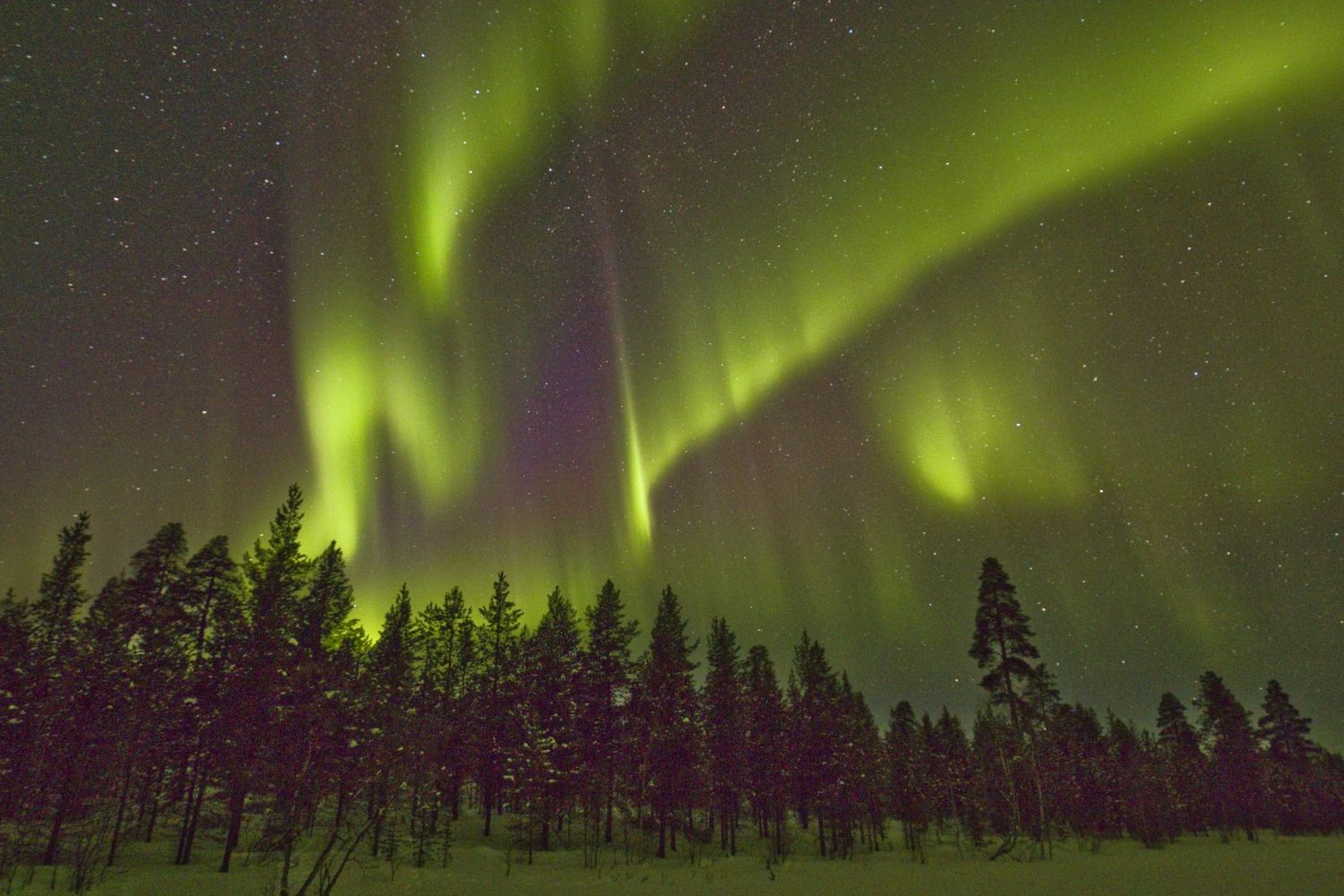 Polarlicht aus Finnland 