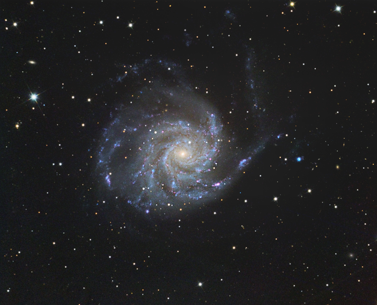 M101 M 101