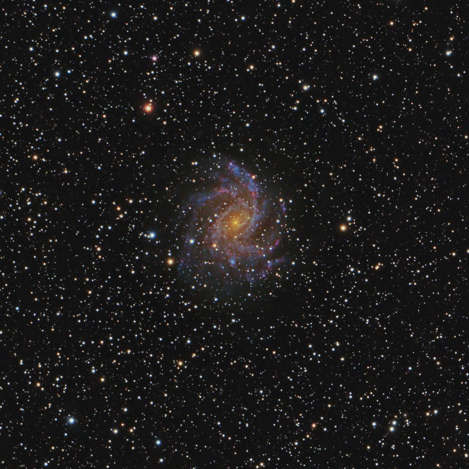 NGC 6946 - Feuerwerksgalaxie NGC 6946