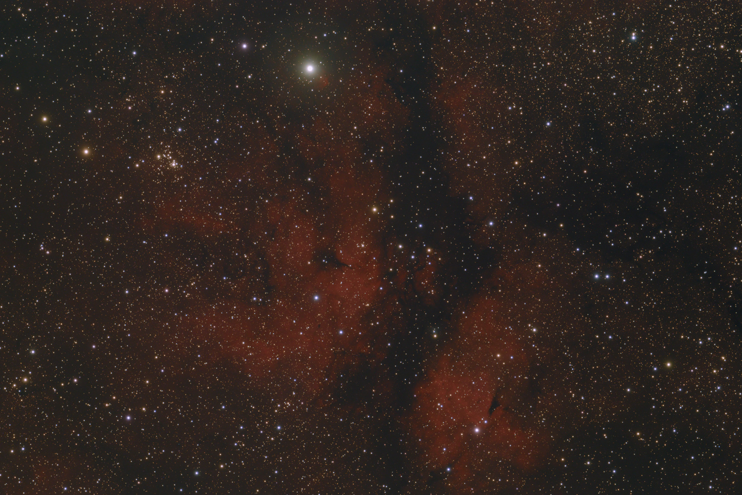 IC 1318 - Sadr Region IC 1318