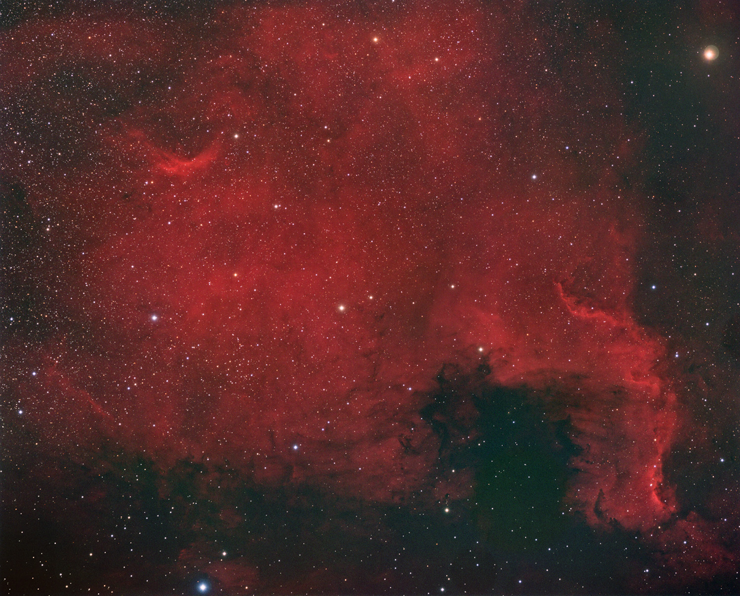 NGC7000 aus dem Stadthimmel NGC 7000