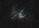 NGC2359 Duck Nebula