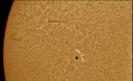 Sonne am 17.6.2021 H-Alpha, AR 2833