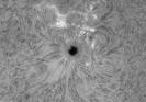 AR 2882 in Halpha am 9.10.2021