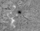 AR2882 in Ha am 10.10.2021