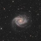 NGC 2997