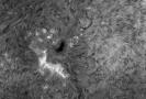 AR 3321 - Sonne Halpha 4.6.2023