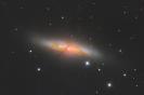 M82 - Zigarre
