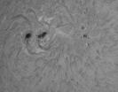 AR 11302 1.10.2011