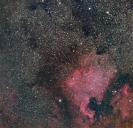 NGC 7000 als Erstversuch