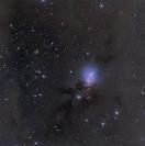 NGC 1333